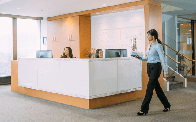 owly asset not found